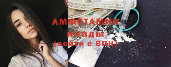 стаф Кулебаки