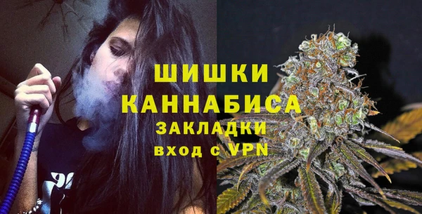 стаф Кулебаки