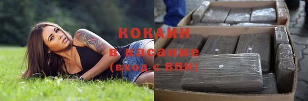 стаф Кулебаки