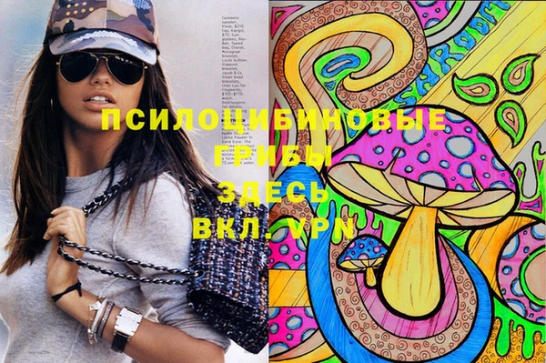 прущие крисы Кукмор