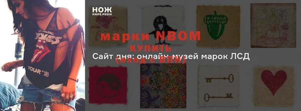 стаф Кулебаки