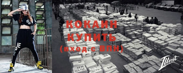 стаф Кулебаки